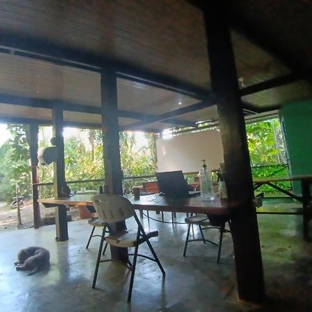 Nativos Corcovado Cabins Drake Bay Exterior photo