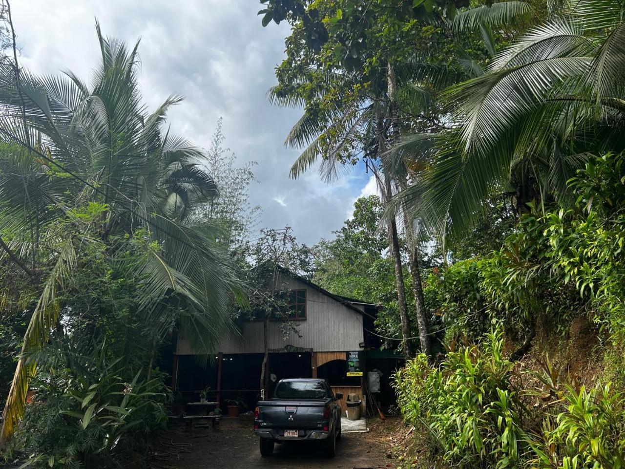 Nativos Corcovado Cabins Drake Bay Exterior photo